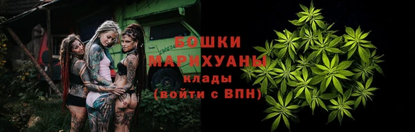 шишки Алзамай