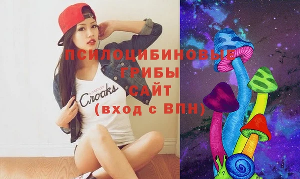 шишки Алзамай