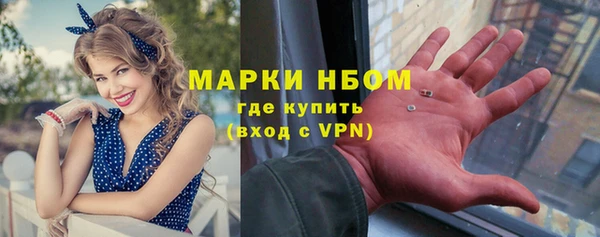шишки Алзамай