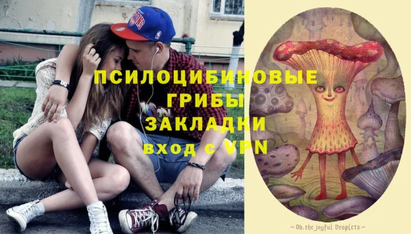 шишки Алзамай